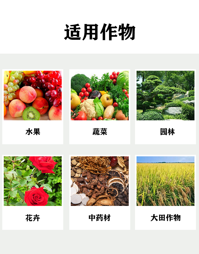 锐真-枯草芽孢杆菌长图6.jpg