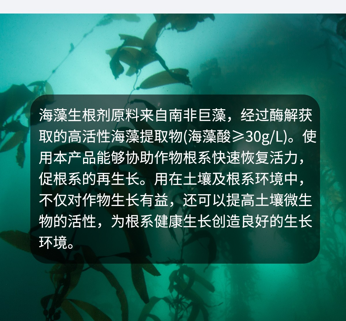 图片17.png