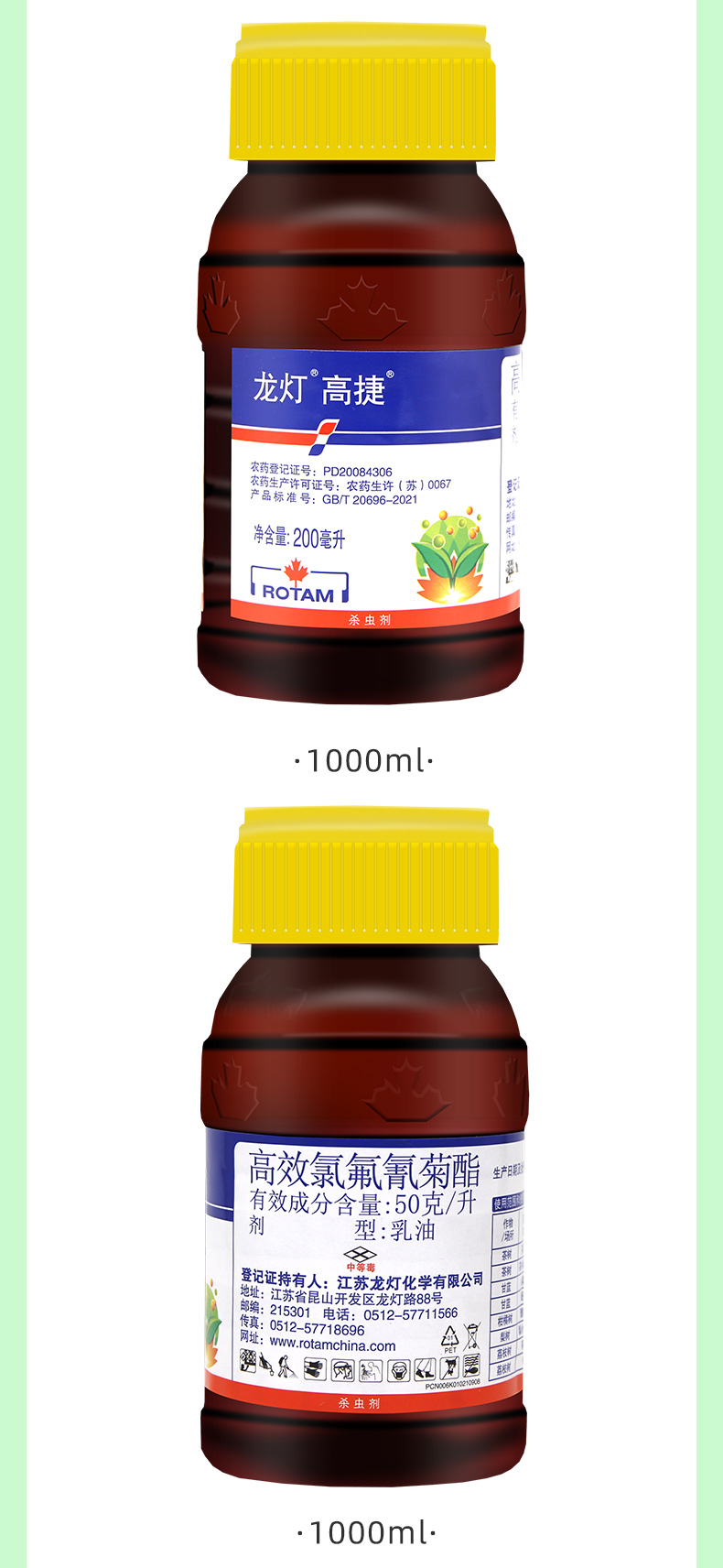 龙灯-高捷飞翔_15.jpg